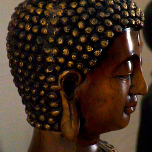 Meet your Posher, Asmr